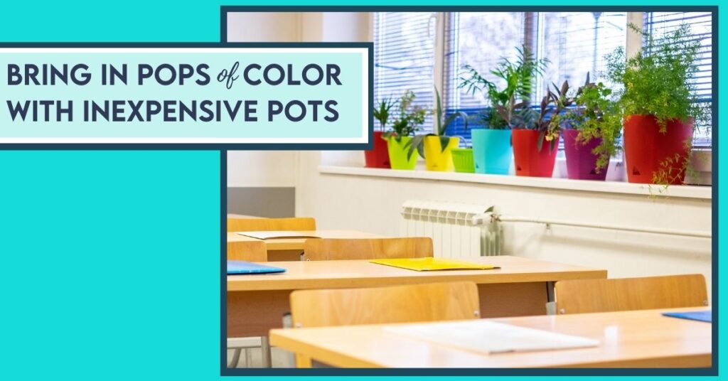 colorful potted plants on classroom shelf
