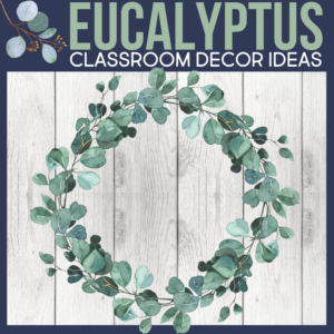 eucalyptus as a classroom theme for elementary teachers