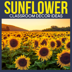 sunflower classroom decor ideas