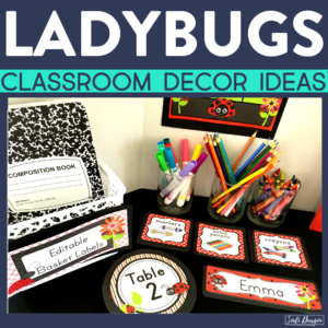 ladybug classroom decor ideas